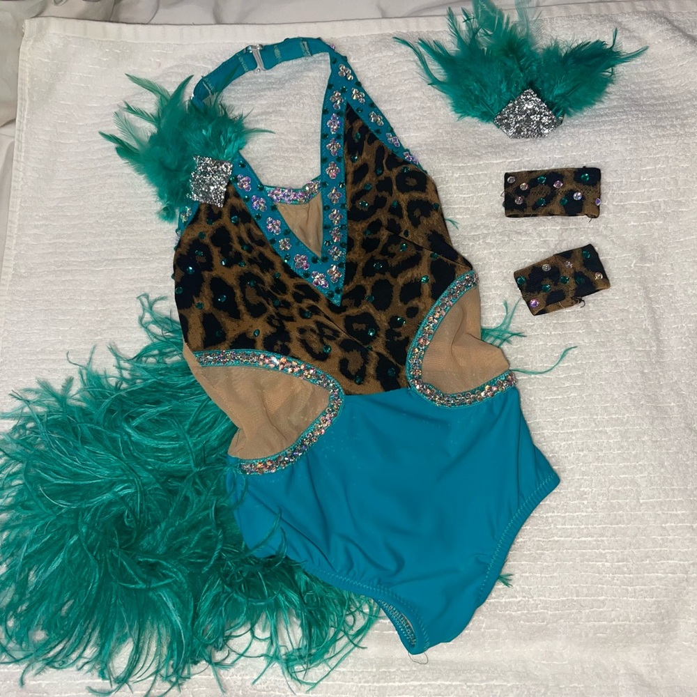 Girls custom costumes. I have multiple if interested. Different sizes